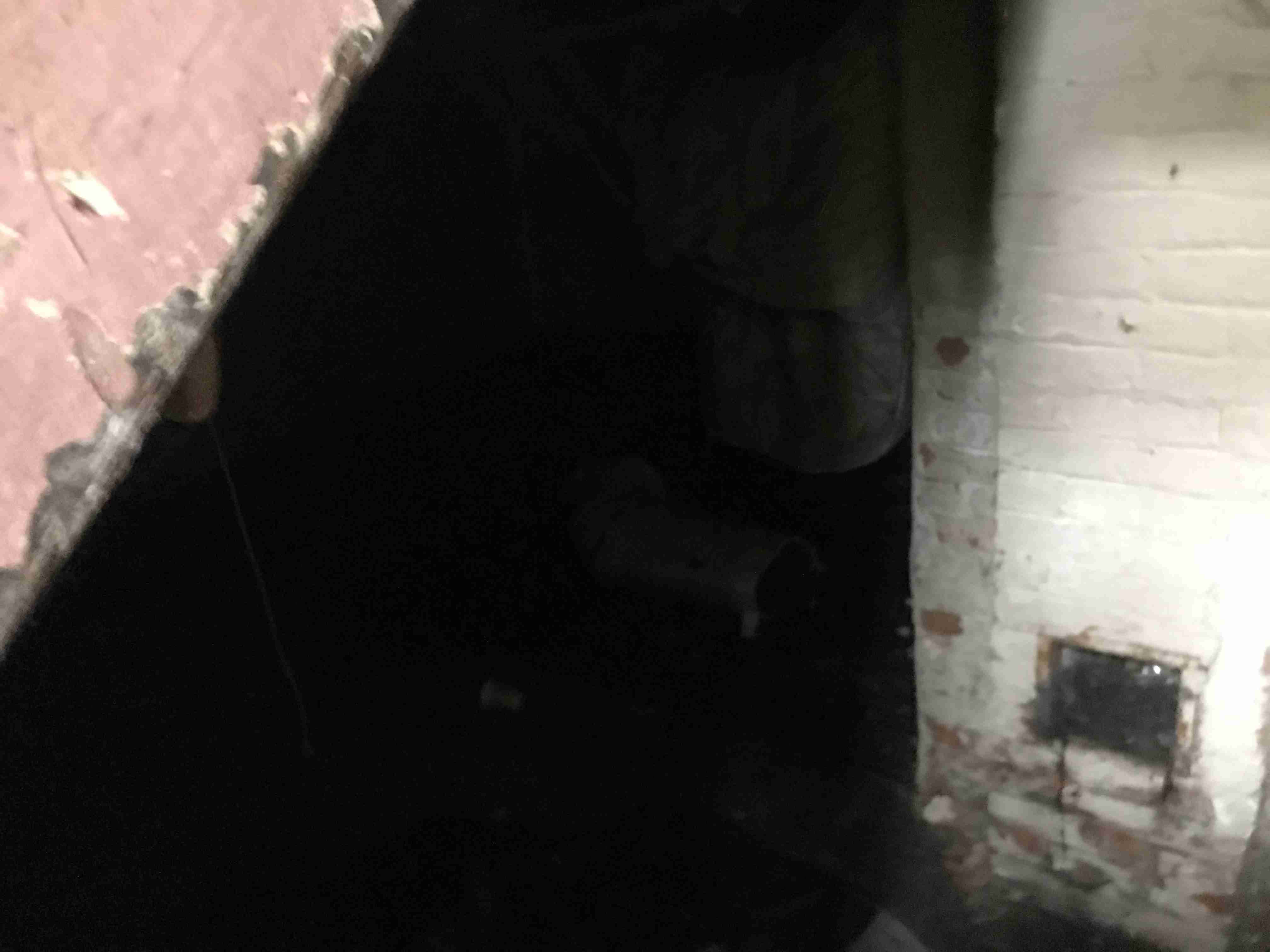 Photo Sep 09, 12 16 05 PM.jpg